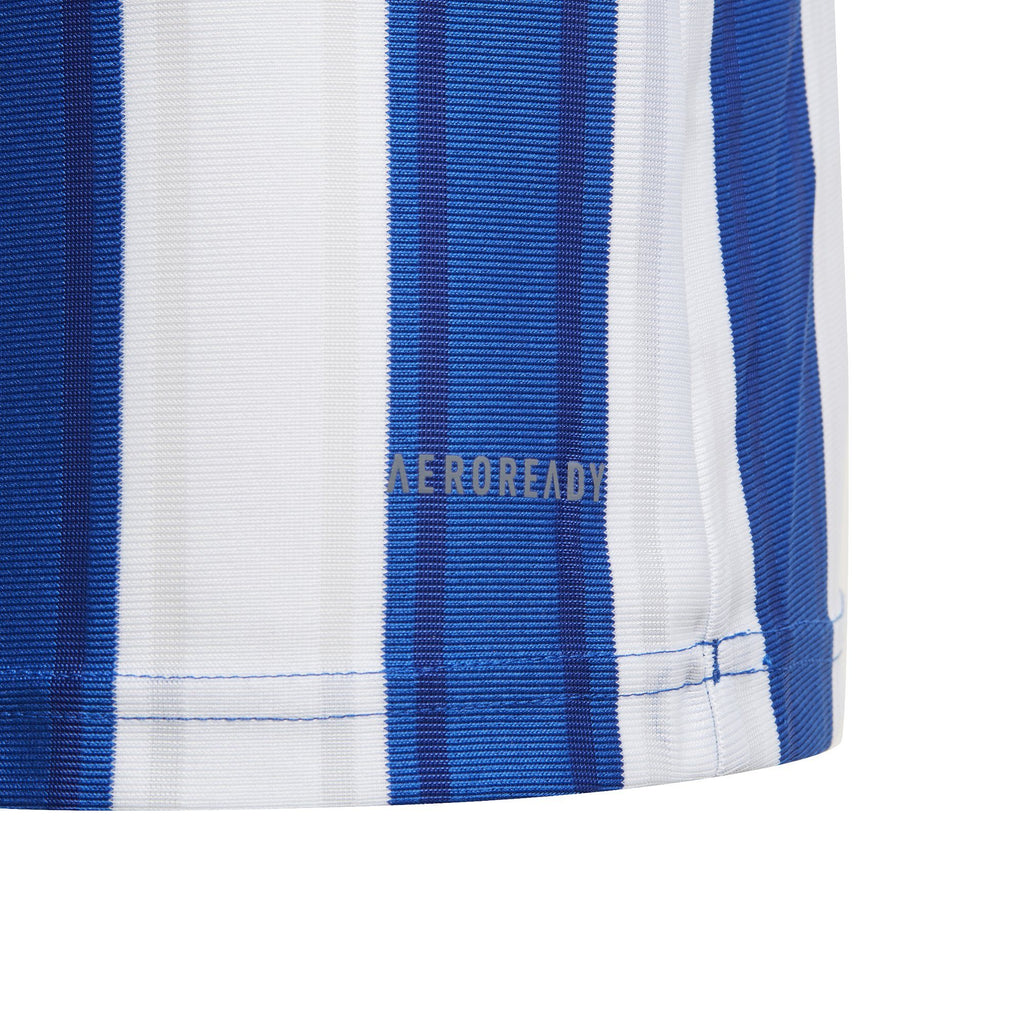 Striped 21 Jersey Youth (GH7323)