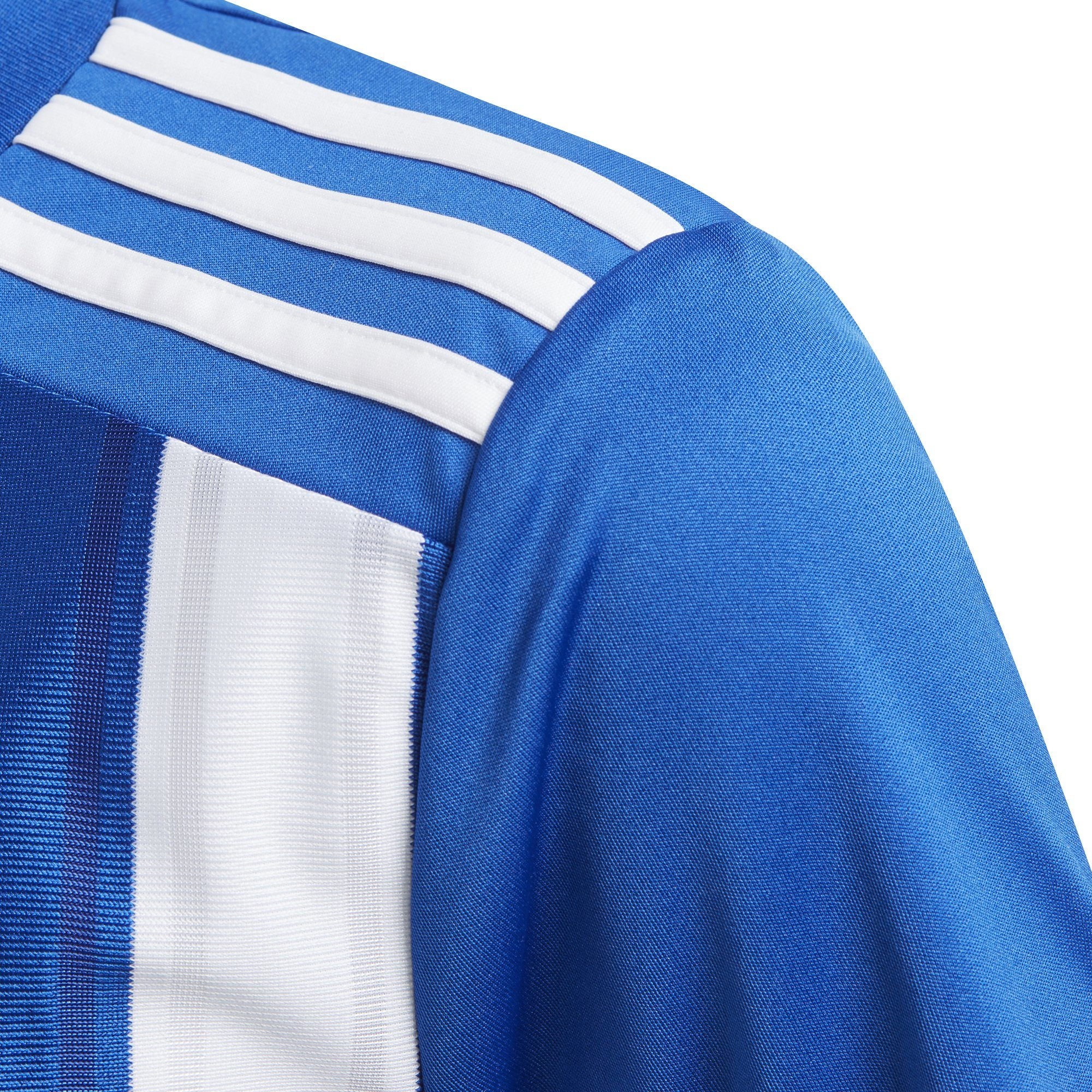 Striped 21 Jersey Teamwear Adidas