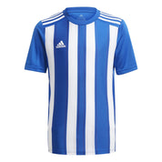 Striped 21 Jersey Teamwear Adidas