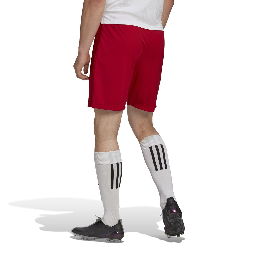 PORT MELBOURNE SC Adidas Entrada 22 Shorts Away/Training (H61735)