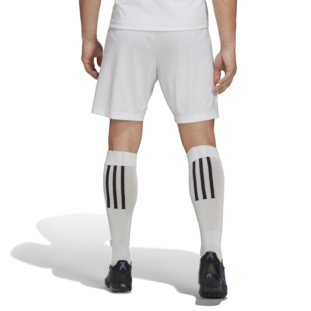 OAKLEIGH CANNONS FC  Adidas Entrada 22 Shorts - NPL Away Kit