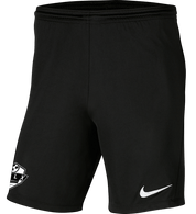 DVLX FOOTBALL Youth Park 3 Shorts DVLX FOOTBALL Nike Club Zone