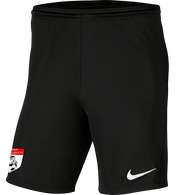 PASA STALLIONS FC Men's Park 3 Shorts PASA STALLIONS FC Nike Club Zone