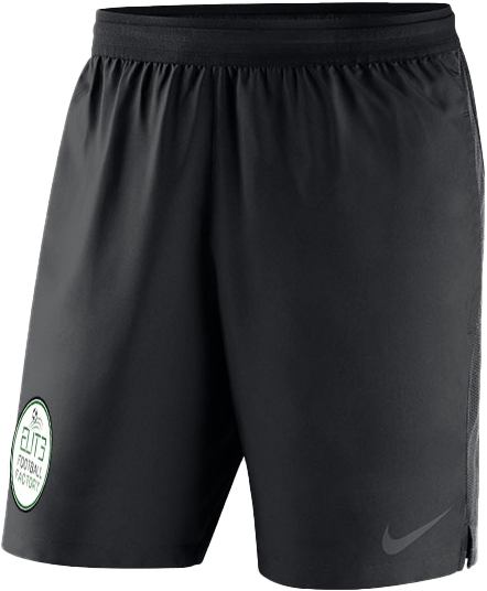 ELITE FOOTBALL FACTORY Men's Nike Dry Pocketed short