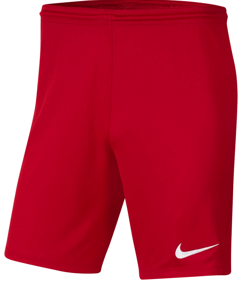 VISION FOOTBALL  Men's Nike Dri-FIT Park III Shorts - GK KIT