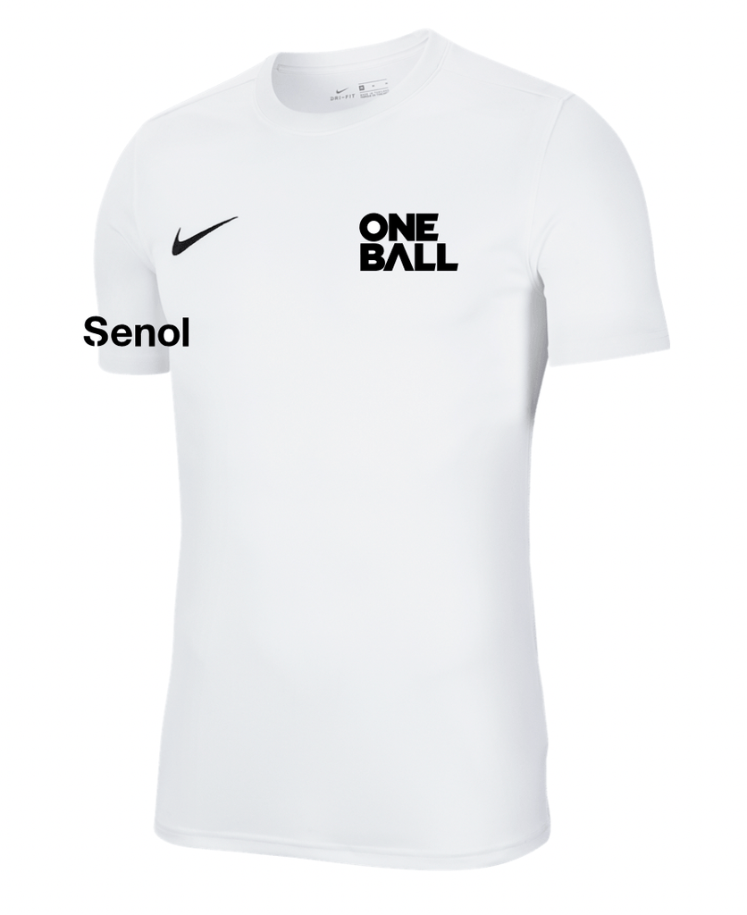 ONE BALL  Youth Nike Dri-FIT Park 7 Jersey