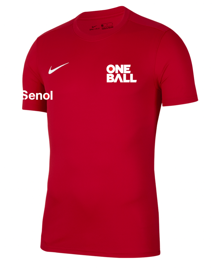 ONE BALL  Youth Nike Dri-FIT Park 7 Jersey