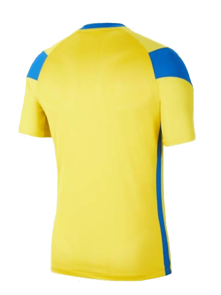 Youth Nike Park Derby 3 Jersey (CW3833-720)