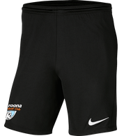 TAROONA FC Men's Park 3 Shorts TAROONA FC Nike Club Zone