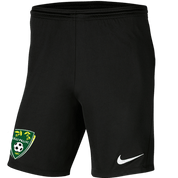 LILLI PILLI FC Men's Nike Dri-FIT Park III Shorts LILLI PILLI FC Nike Club Zone