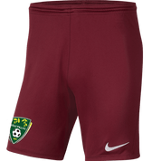 LILLI PILLI FC Men's Nike Dri-FIT Park III Shorts LILLI PILLI FC Nike Club Zone