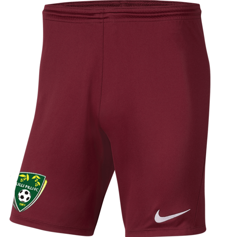 LILLI PILLI FC Youth Nike Dri-FIT Park III Shorts LILLI PILLI FC Nike Club Zone