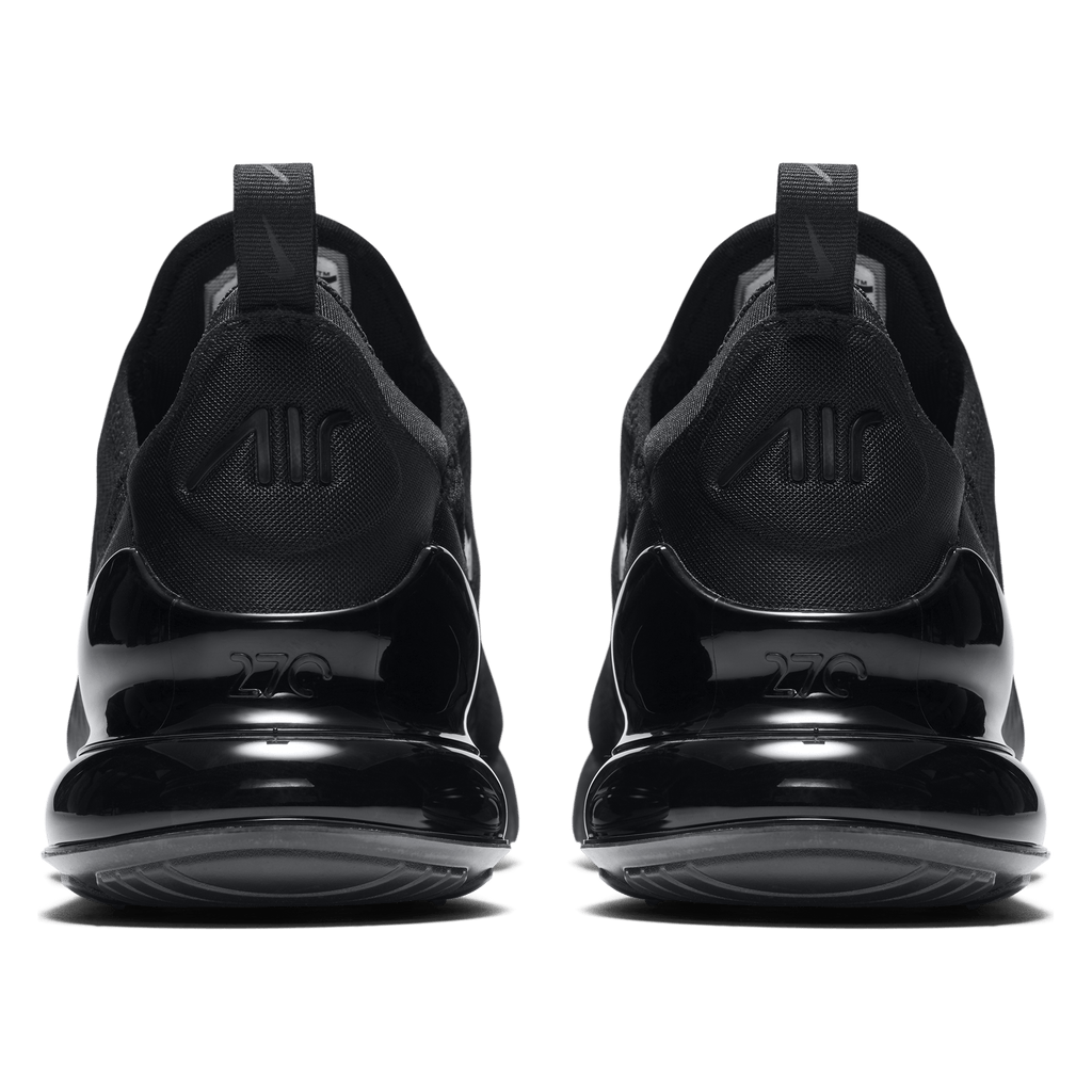 Air Max 270 (AH8050-005)