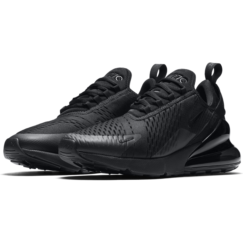 Air Max 270 (AH8050-005)