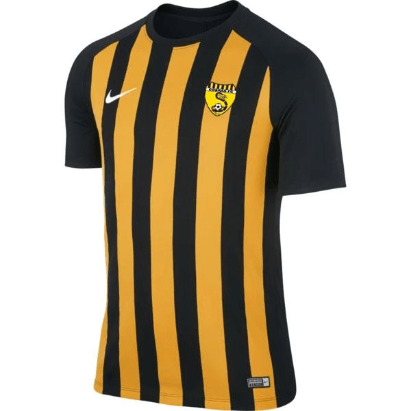 CAULFIELD COBRAS FC  MENS Nike DRY STRIPED SEGMENT III JERSEY