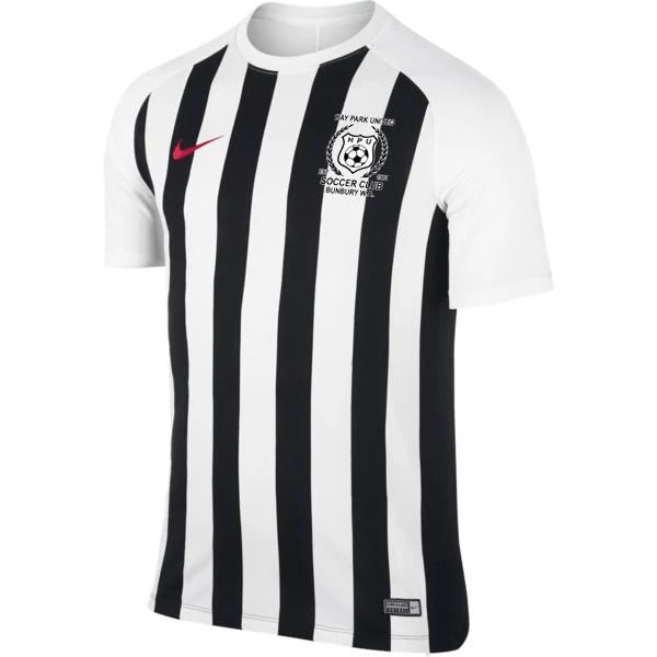 HAY PARK UNITED  MENS Nike DRY STRIPED SEGMENT III JERSEY