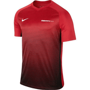 IDENTITY PRO Precision IV Jersey IDENTITY PRO Nike Club Zone