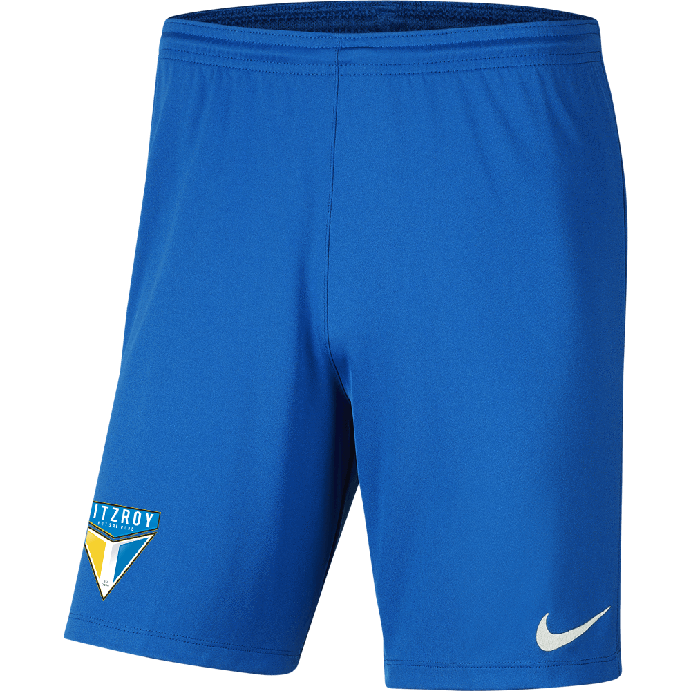 FITZROY FC  Men's Nike Dri-FIT Park 3 Shorts