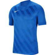 Nike Dri-FIT Challenge III Youth Teamwear Nike