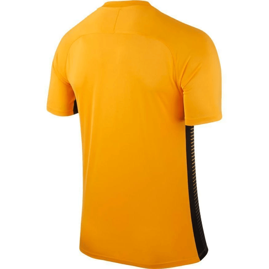 Nike 2025 precision jersey