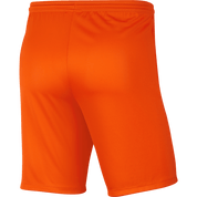Youth Nike Dri-FIT Park III Shorts Teamwear Nike