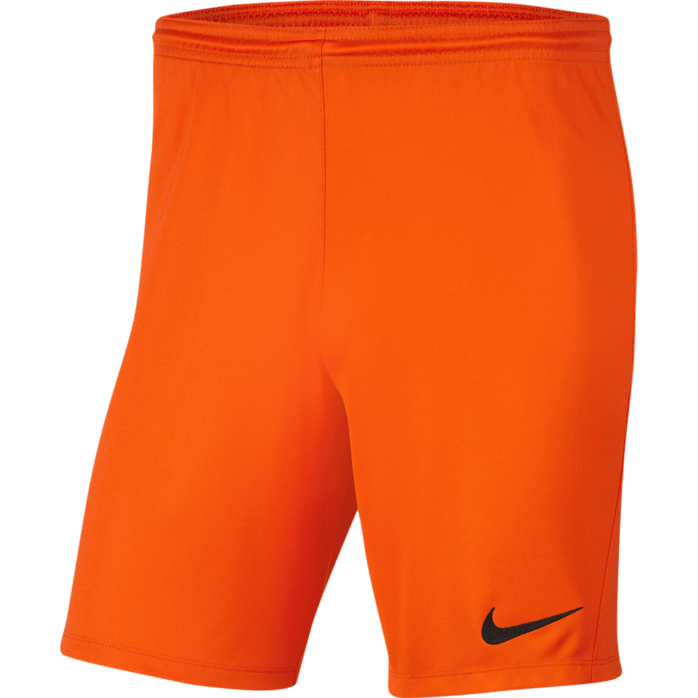 WEST FV TIDC  Youth Nike Dri-FIT Park 3 Shorts