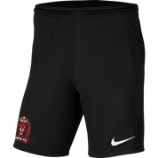 LIVERPOOL LIONS Youth Nike Dri-FIT Park III Shorts LIVERPOOL LIONS Nike Club Zone